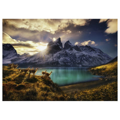 Heye - Puzzle Guanacos Puzzle online kaufen - Marc Adamus - Puzzle Age: +14 - HEY29815