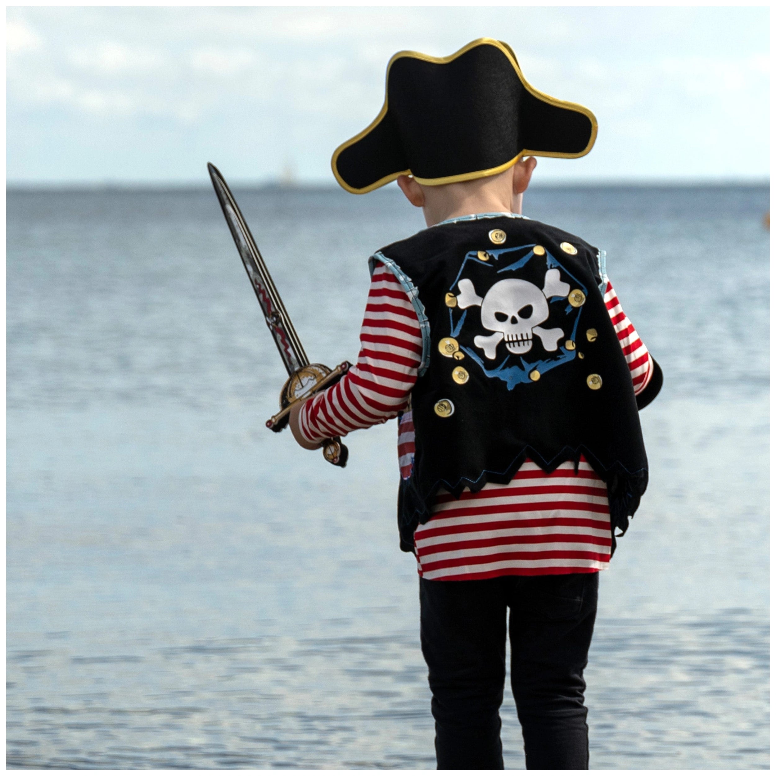 Liontouch - Pirate Sword - The Captain Cross Line - Pretend Professions & Role Playing