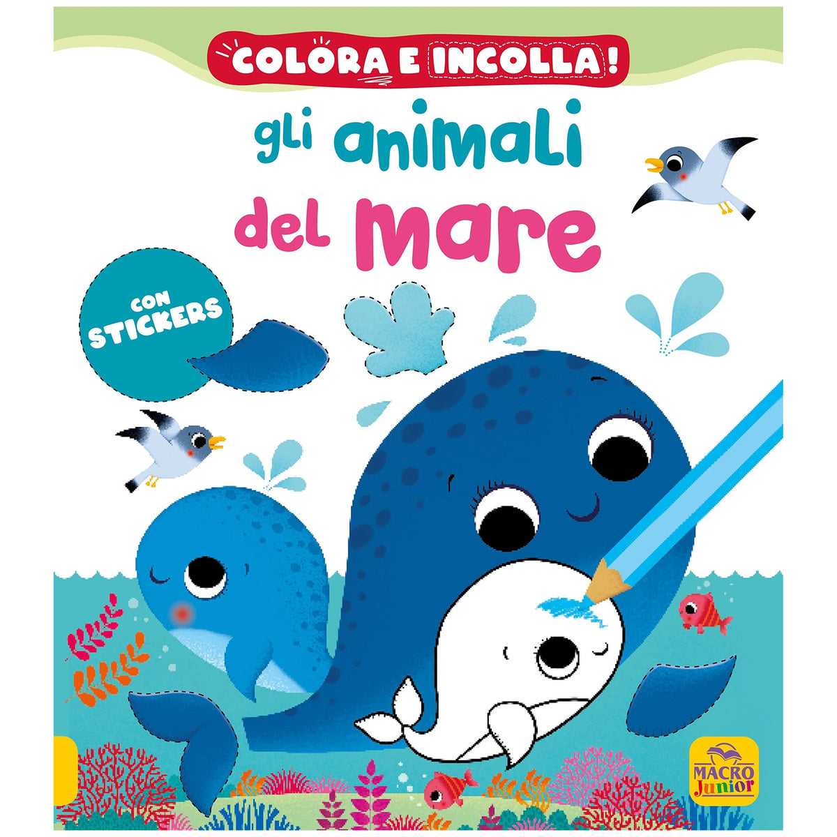 MACRO JUNIOR - Sea Animals Colouring Book - Books