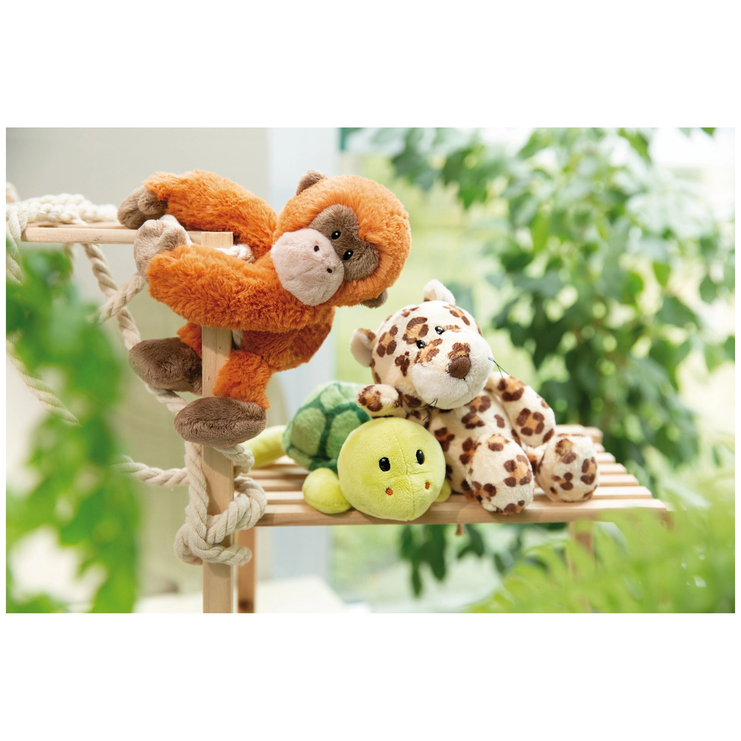 NICI - Zoo-Friends-Soft-Toy-Turtle-Stuffed-Animals