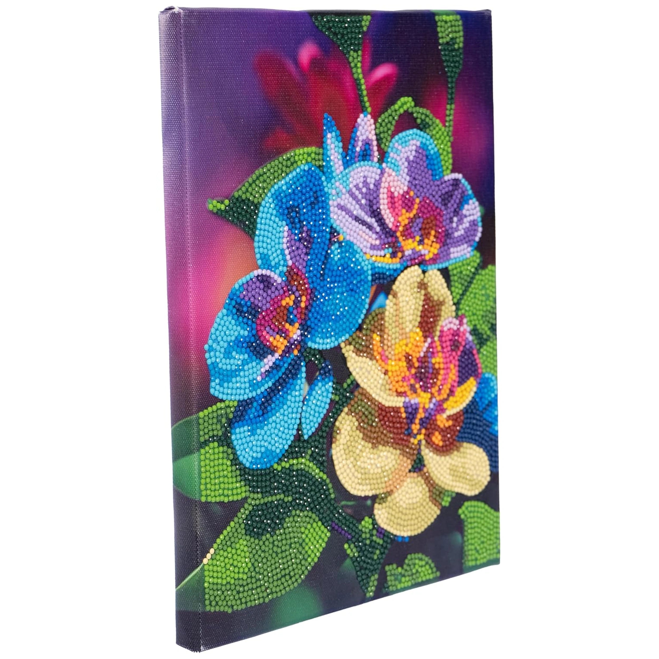 Nice - Diamantiny Artist Level Up Painting On Canvas - Random Selection - Arts & Crafts