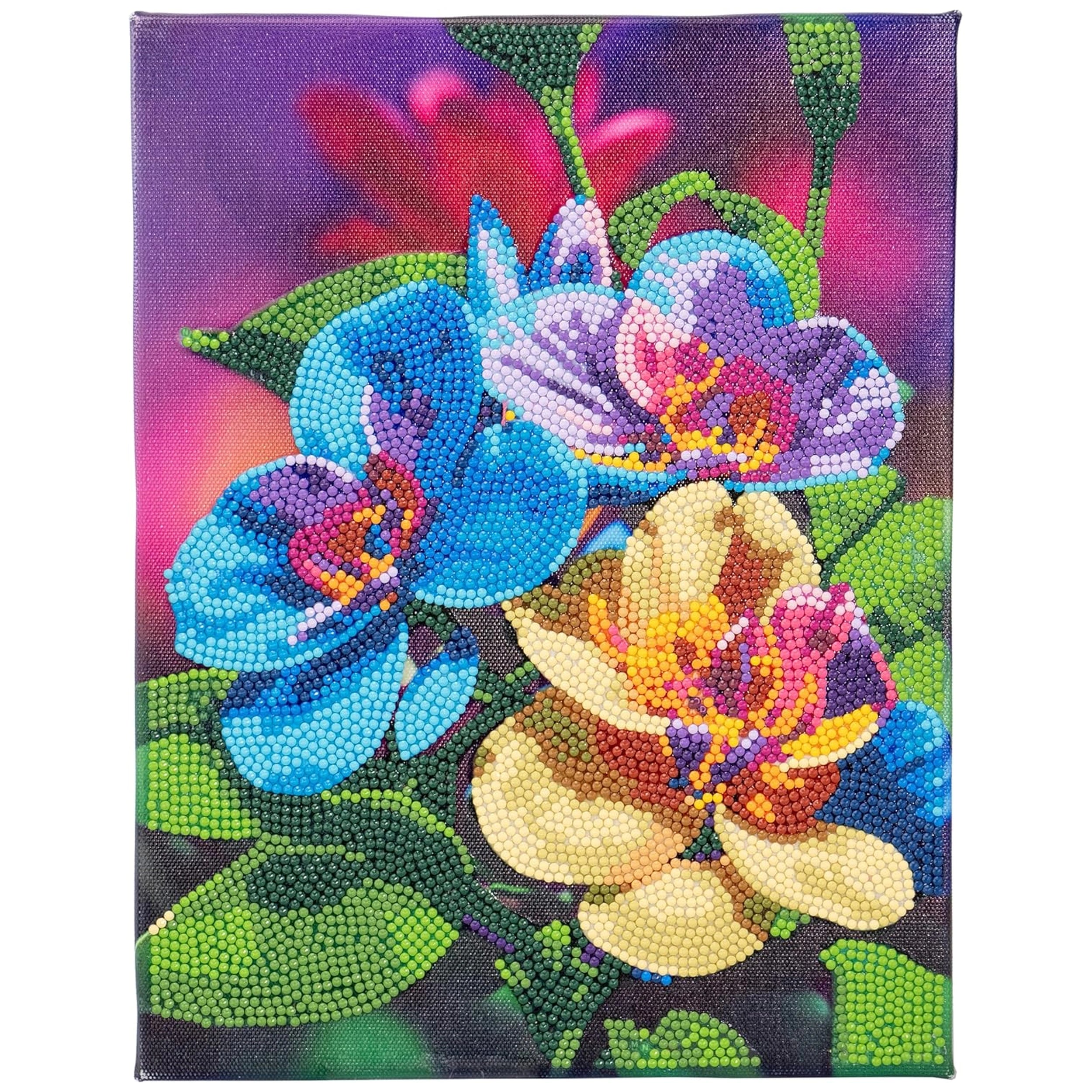 Nice - Diamantiny Artist Level Up Painting On Canvas - Random Selection - Arts & Crafts