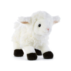 Plush & Co - Kirack el pequeño cordero de peluche de 21 cm - Animales de peluche