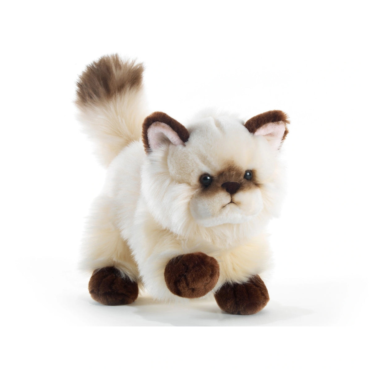 Plush & Co - Thaytoo Pequeño Gato de Peluche 21 cm - Animales de Peluche
