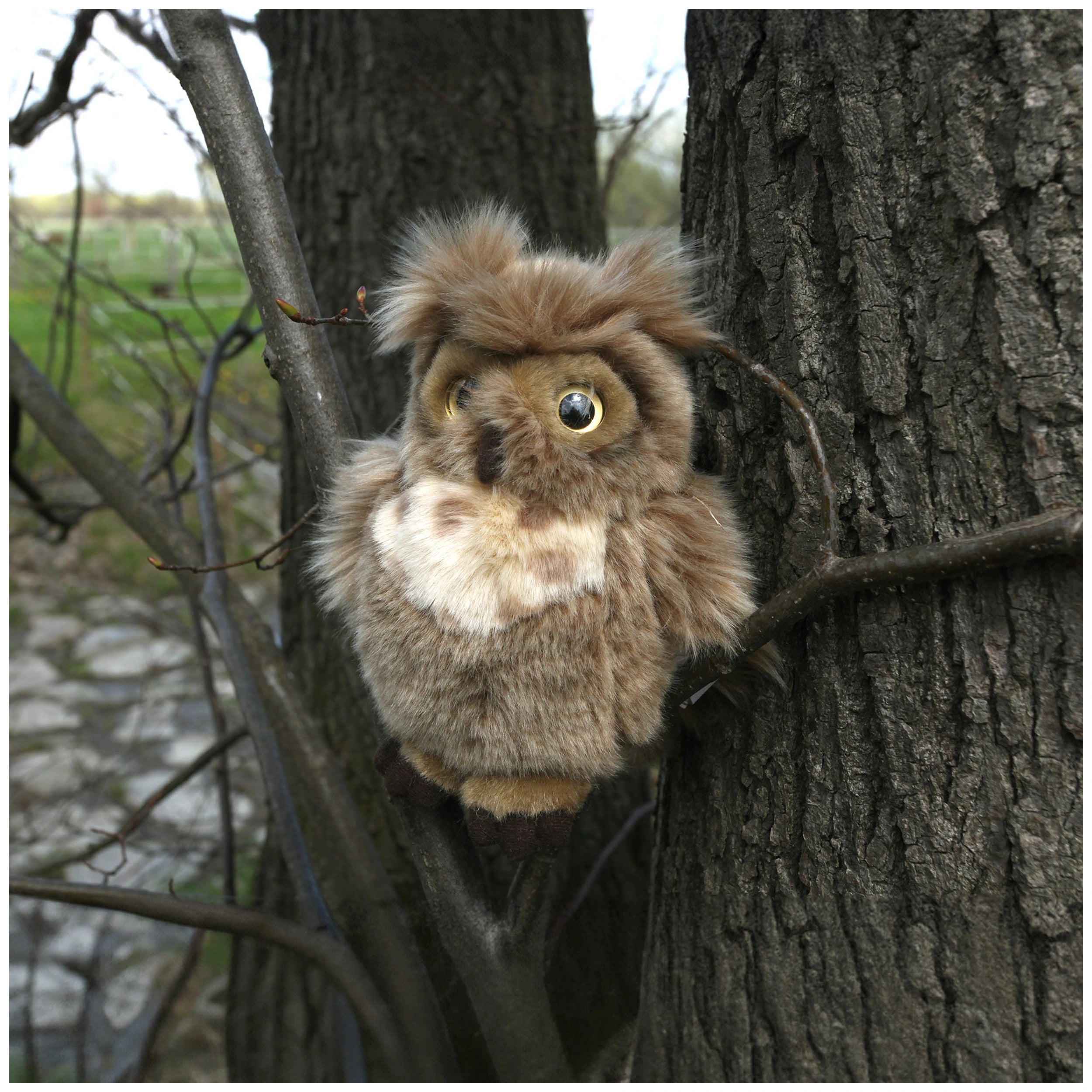 Rappa - Búho real de peluche 17 cm ECOLÓGICO - Animales de peluche