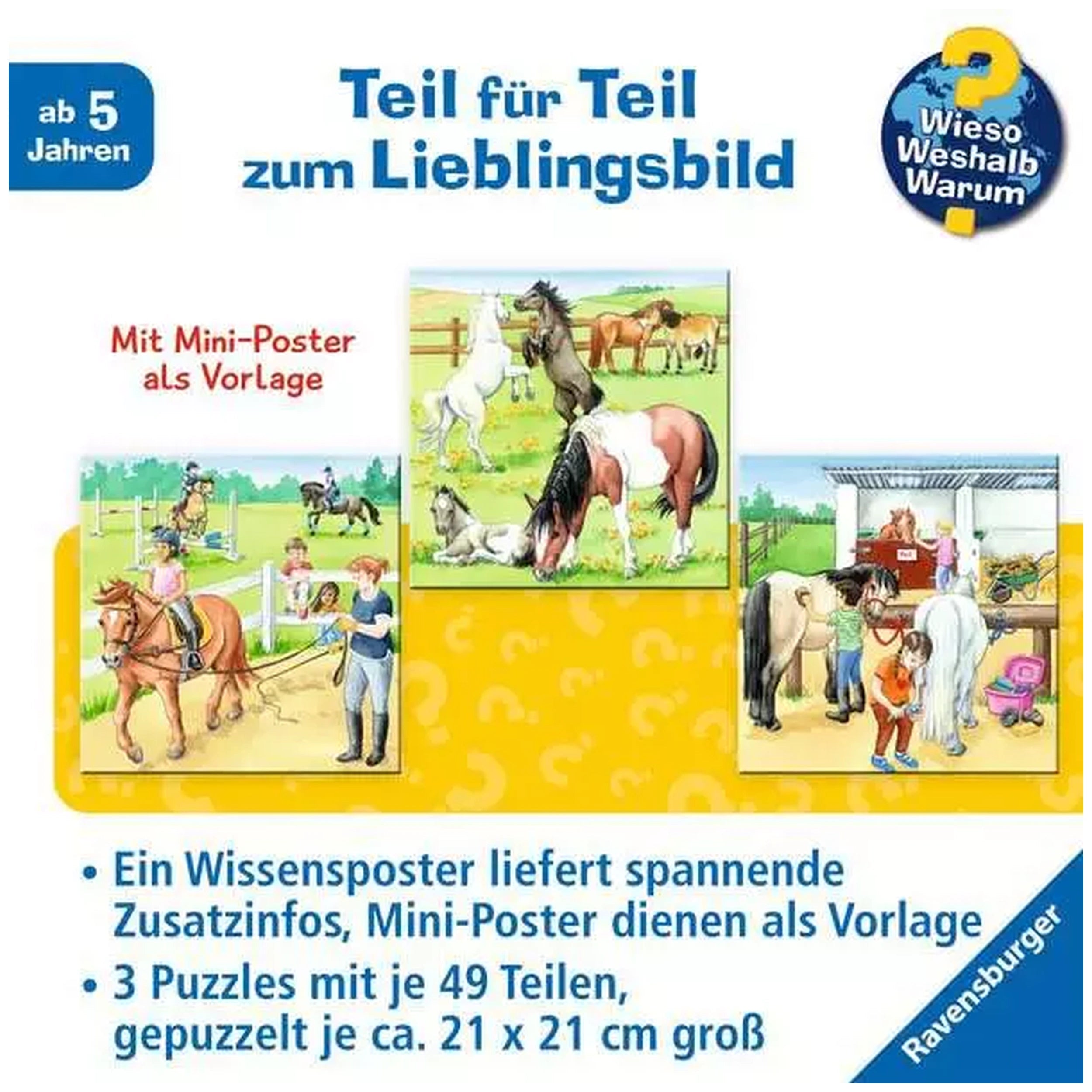 Ravensburger - Un Día en el Establo de Equitación - 3x49 Piezas - Rompecabezas