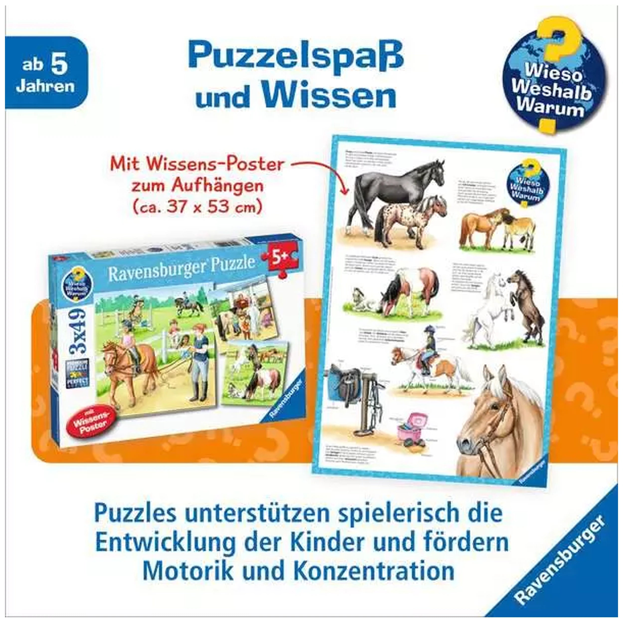 Ravensburger - Un Día en el Establo de Equitación - 3x49 Piezas - Rompecabezas