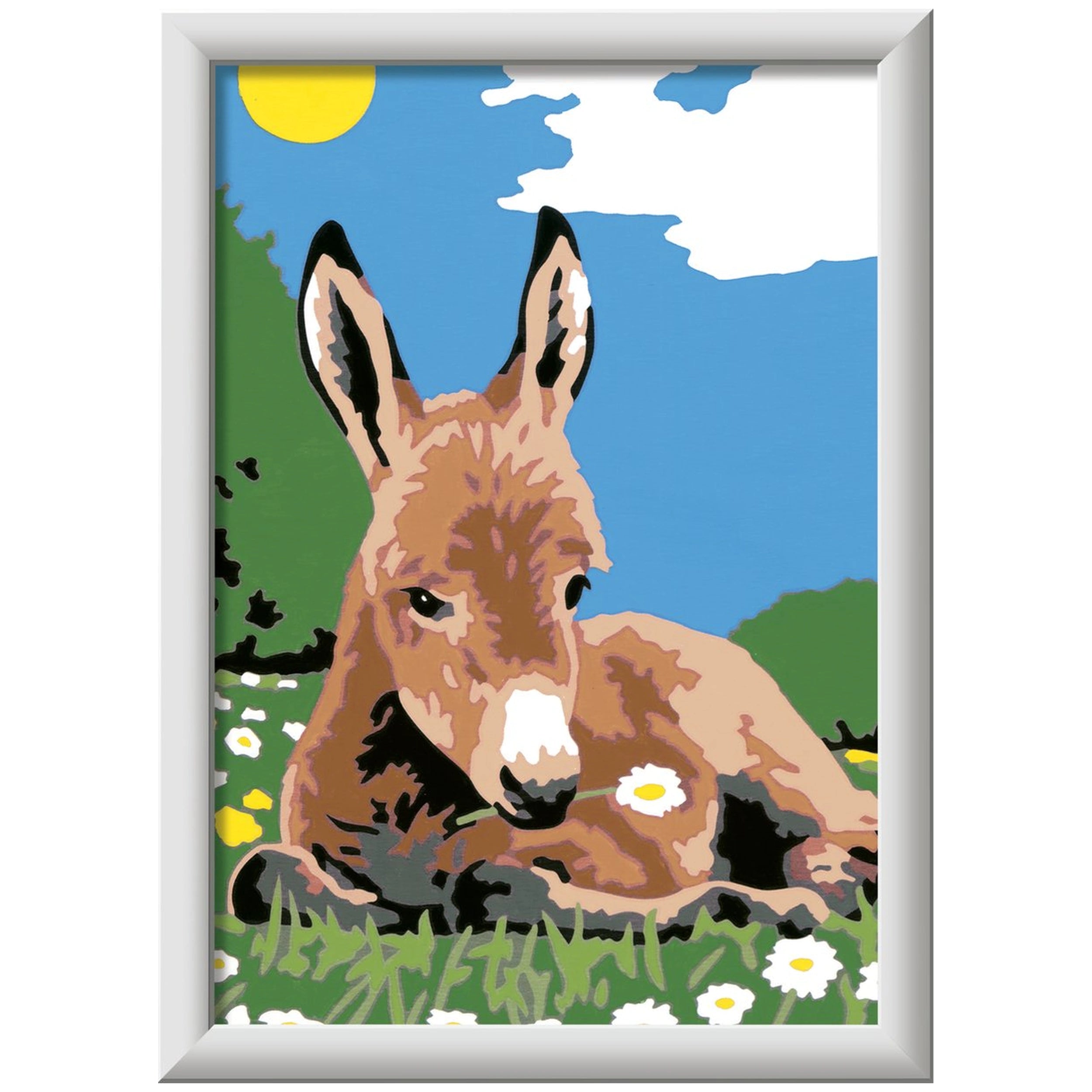 Ravensburger - Creart Little Donkey - Painting By Numbers - Arts & Crafts