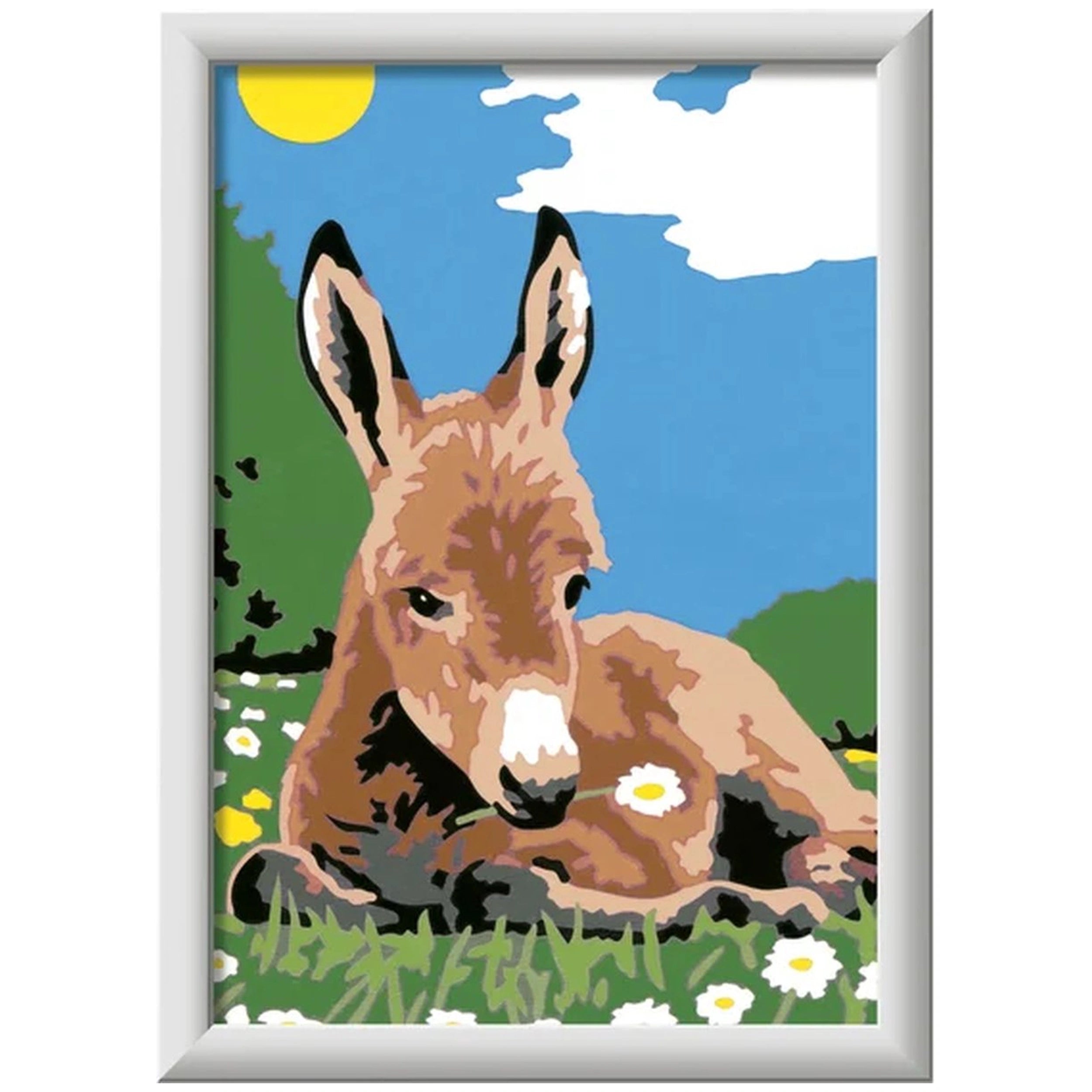 Ravensburger - Creart Little Donkey - Painting By Numbers - Arts & Crafts
