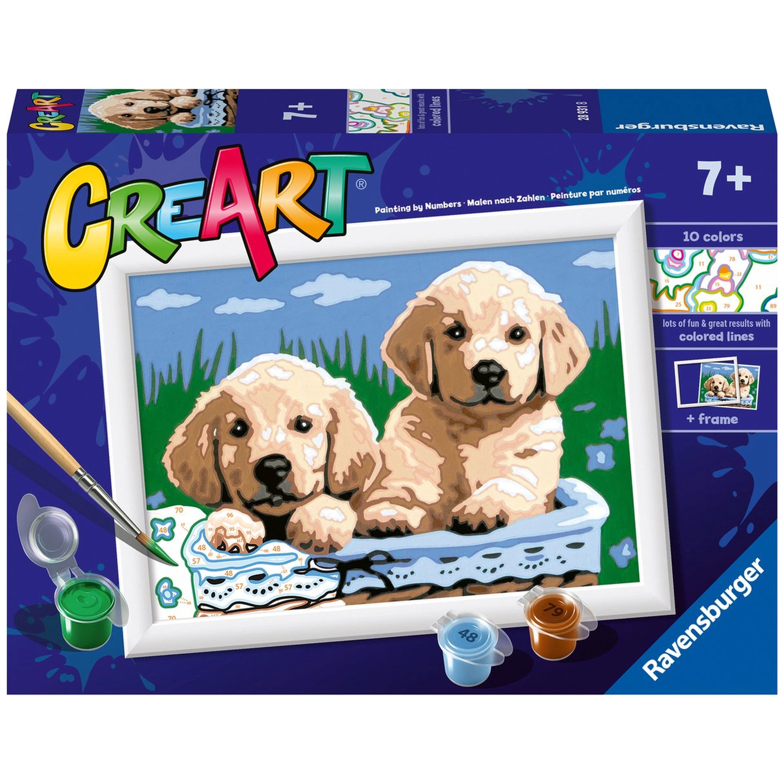 Ravensburger - Creart Gatos y Perros Durmiendo - Pintura por Números - Artes y Manualidades