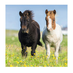 Ravensburger - Ponis Lindos - 3x49 Piezas - Rompecabezas