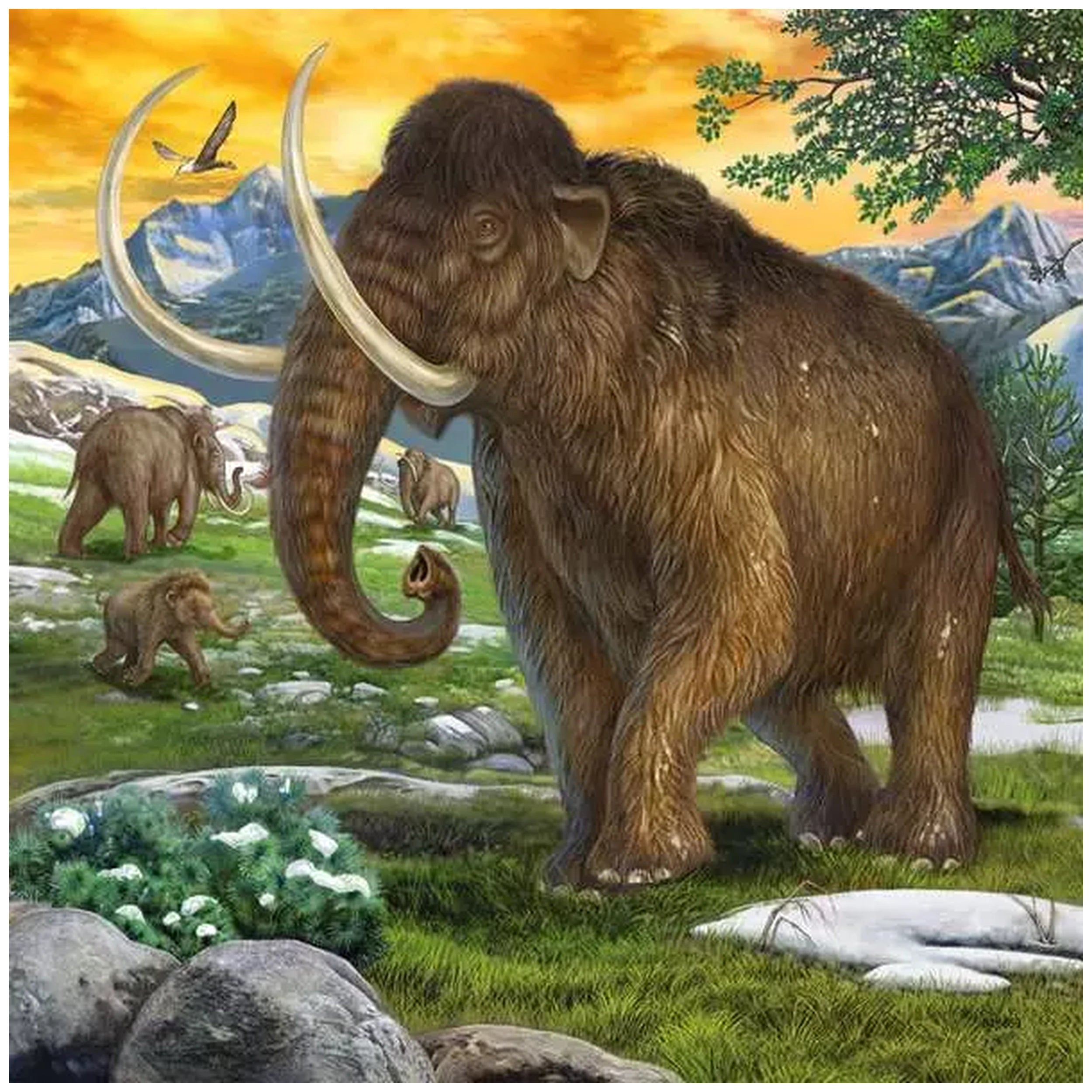Ravensburger - Dinosaurs - Ruler Of Prehistoric Times - 3x49 Pieces - Puzzles