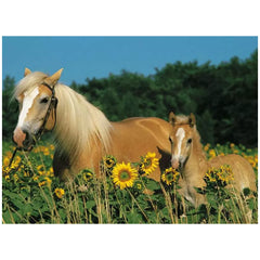 Ravensburger - Felicidad Equina - 200 Piezas - Rompecabezas