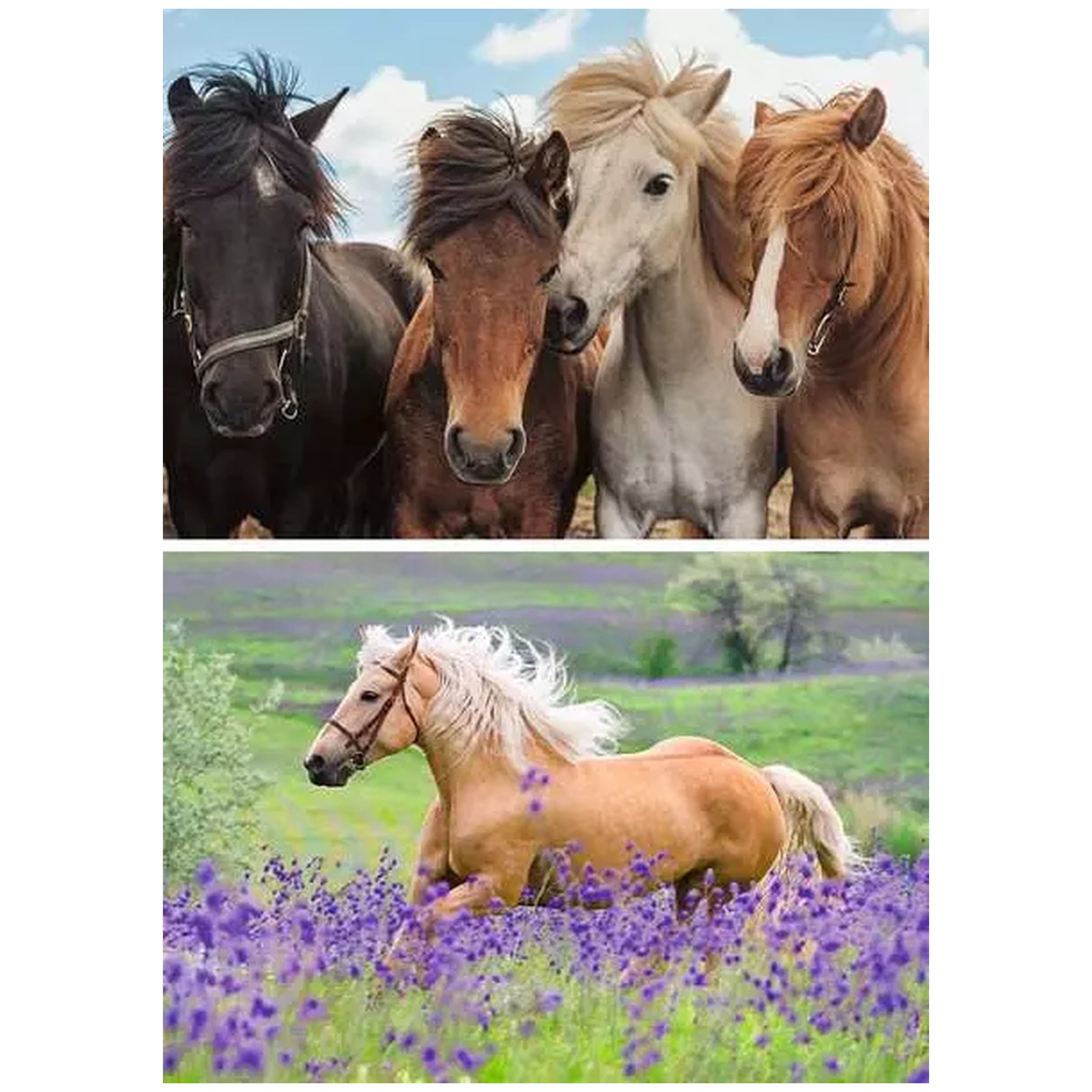 Ravensburger - Amor por los Caballos - 2x24 Piezas - Rompecabezas
