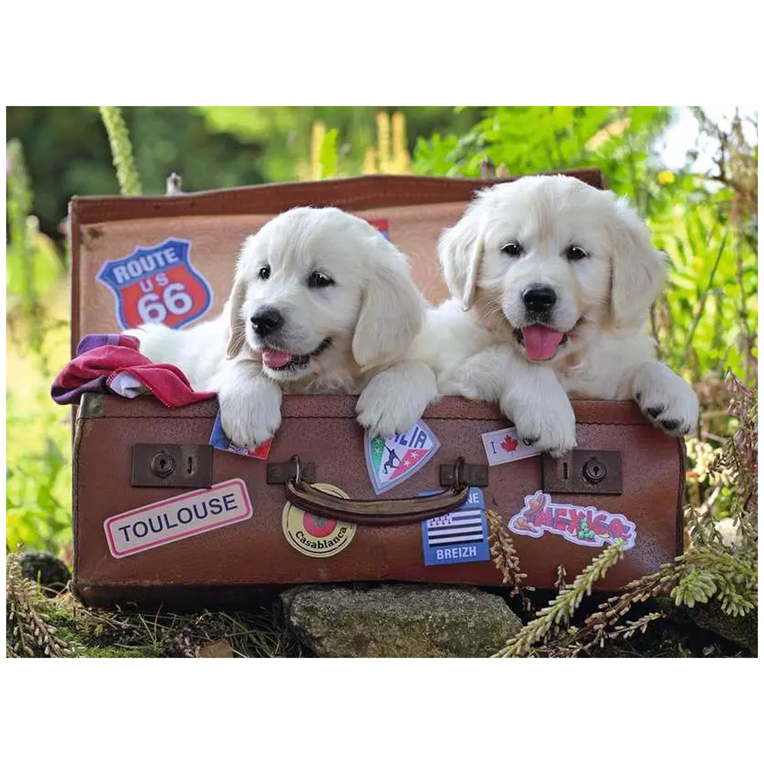 Ravensburger - Cachorros de Labrador - 100 Piezas - Rompecabezas