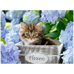 Ravensburger - Gato Pequeño - 300 Piezas - Rompecabezas