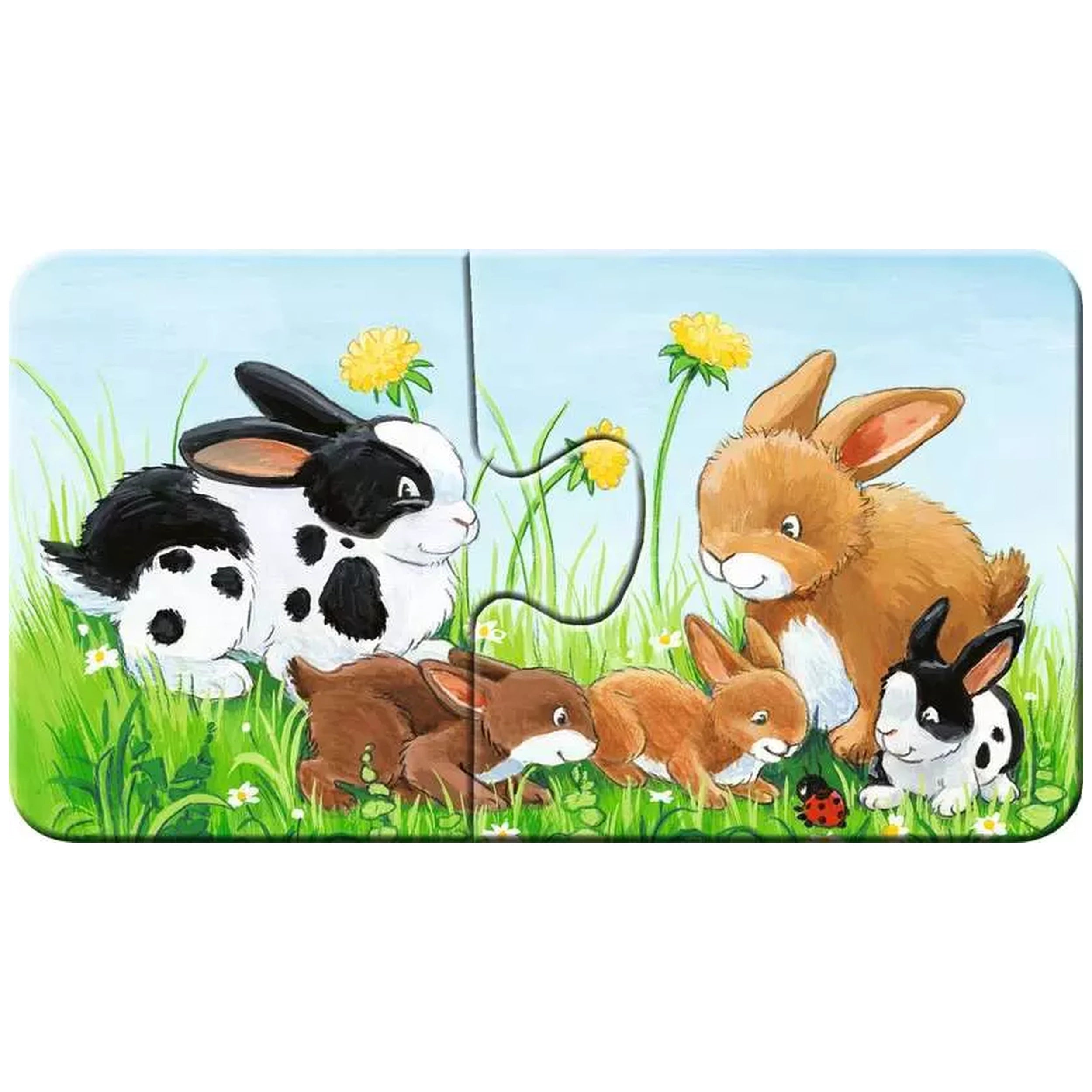 Ravensburger - Mis Primeros Rompecabezas - Familias de Animales en la Granja - 2X9 Piezas - Rompecabezas