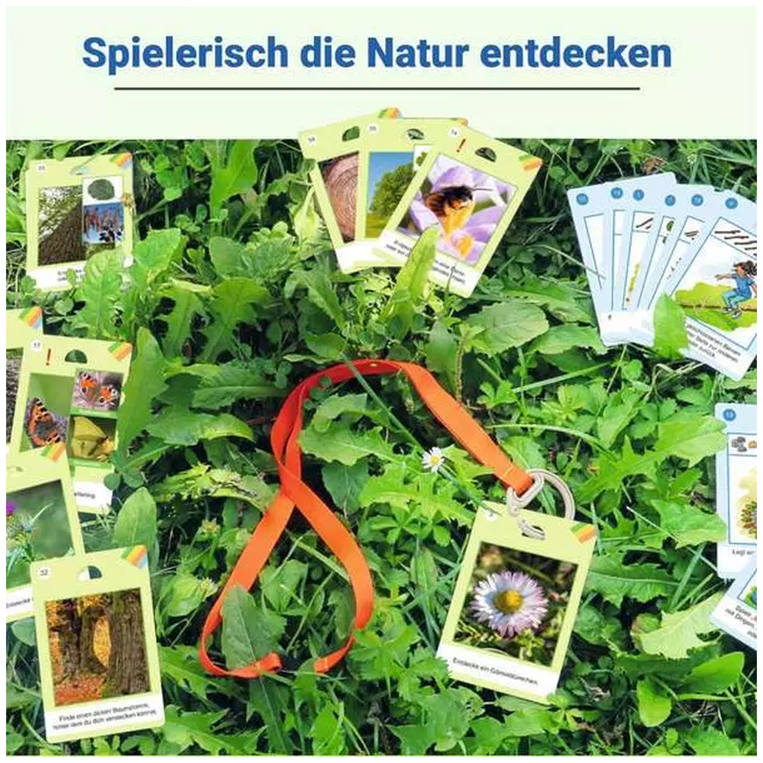 Ravensburger - Natur-Entdecker - Juego de Mesa - Edición Alemana