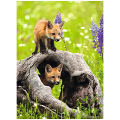 Ravensburger - Zorros Traviesos - 300 Piezas - Rompecabezas