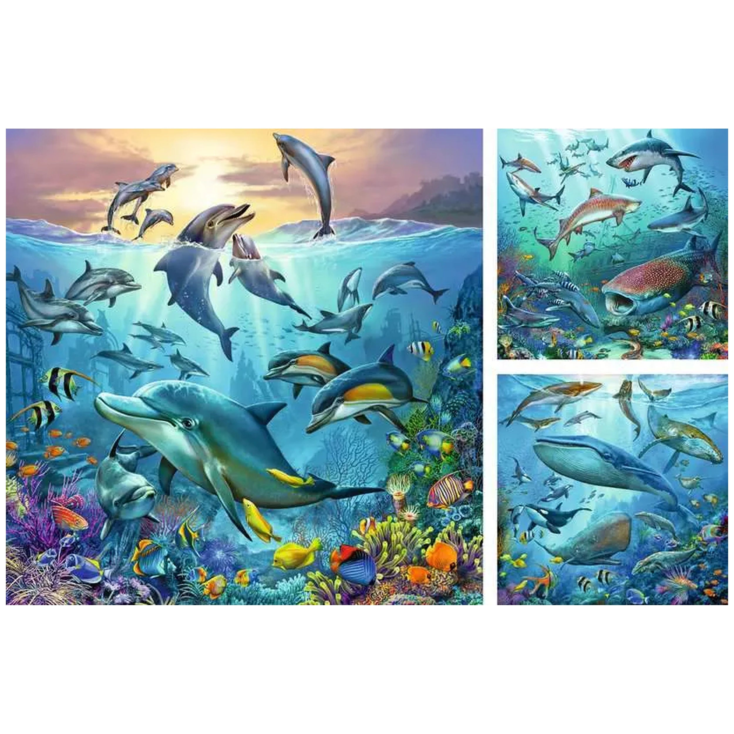 Ravensburger - Vida Silvestre Oceánica - 3x49 Piezas - Rompecabezas