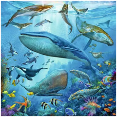 Ravensburger - Vida Silvestre Oceánica - 3x49 Piezas - Rompecabezas