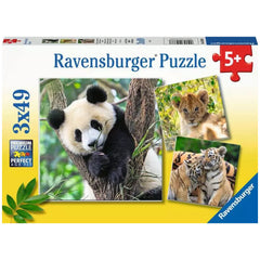 Ravensburger - Panda, Tigre y León - 3x49 Piezas - Rompecabezas