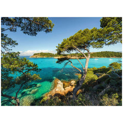 Ravensburger - Rompecabezas 500 Piezas Vista Costera - Puzzles