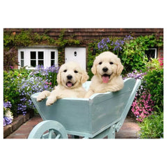 Ravensburger - Puzles - Rompecabezas Golden Retriever - 200 Piezas - 9+ Años