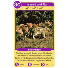Ravensburger - Tierquartett Tierkinder - Juego de Cartas