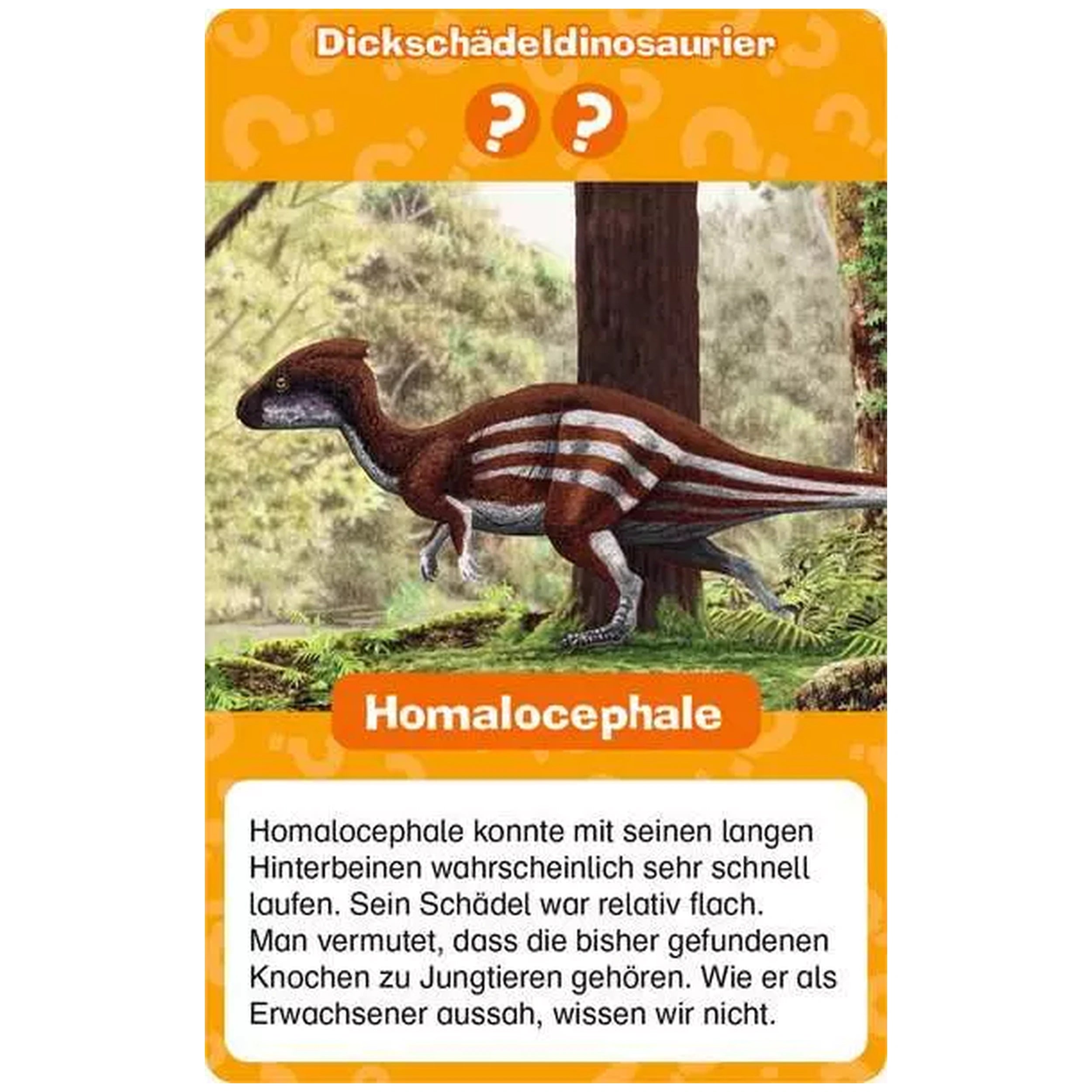 Ravensburger - Wieso? Weshalb? Warum? Dinosaurier Quartett - Juego de mesa - Edición alemana