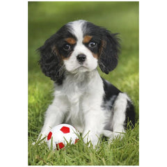 SCHMIDT SPIELE - Mis Animales Bebés Más Lindos 48 Piezas Rompecabezas para Niños - Rompecabezas