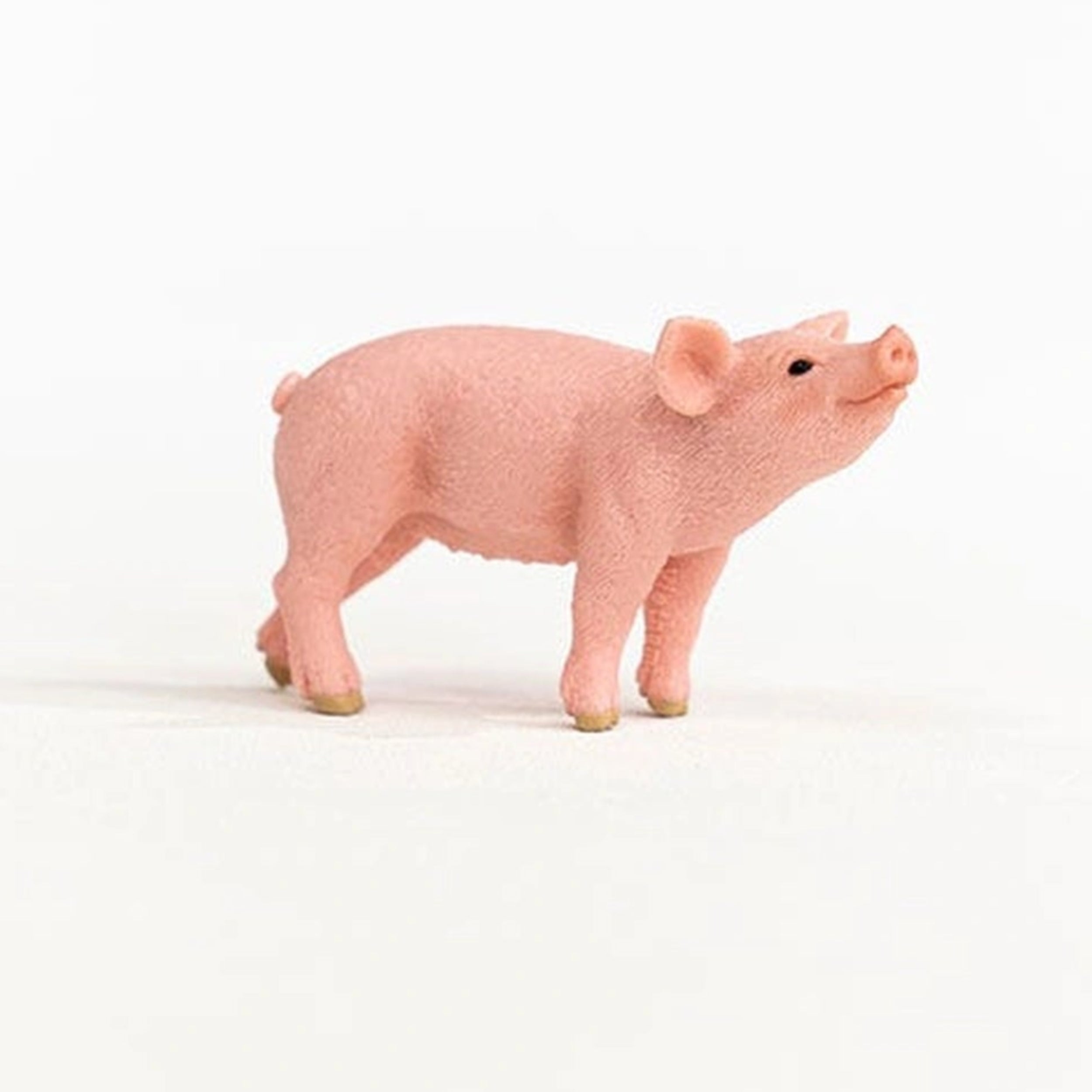 Schleich - Farm World - Piglet - Action & Toy Figures - 13934