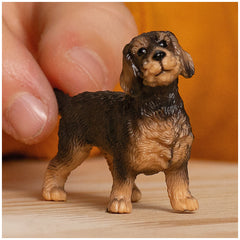 Schleich - Farm World - Wire-Haired Dachshund - Action & Toy Figures - 13972