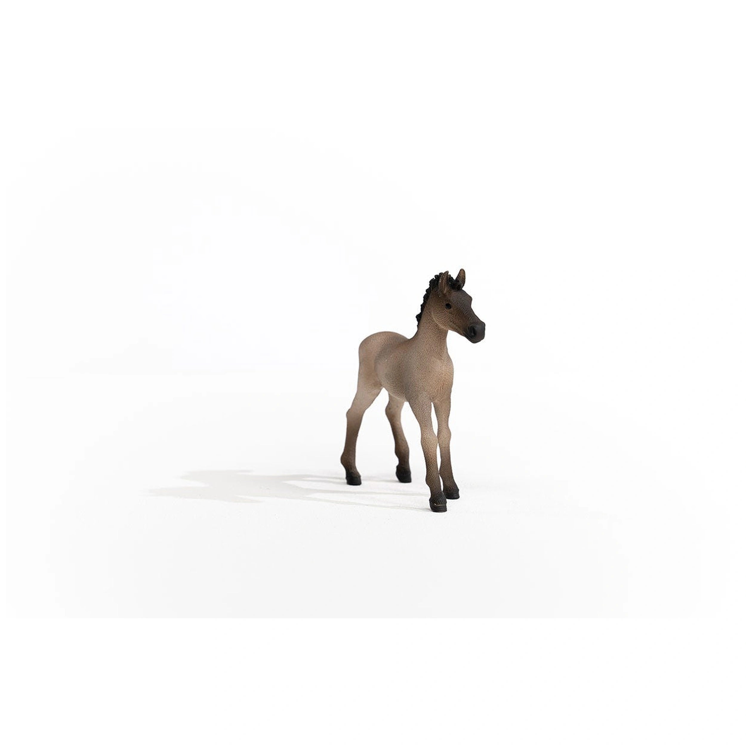 Schleich - Horse Club - Definitive Criollo Foal - Action & Toy Figures - 13949
