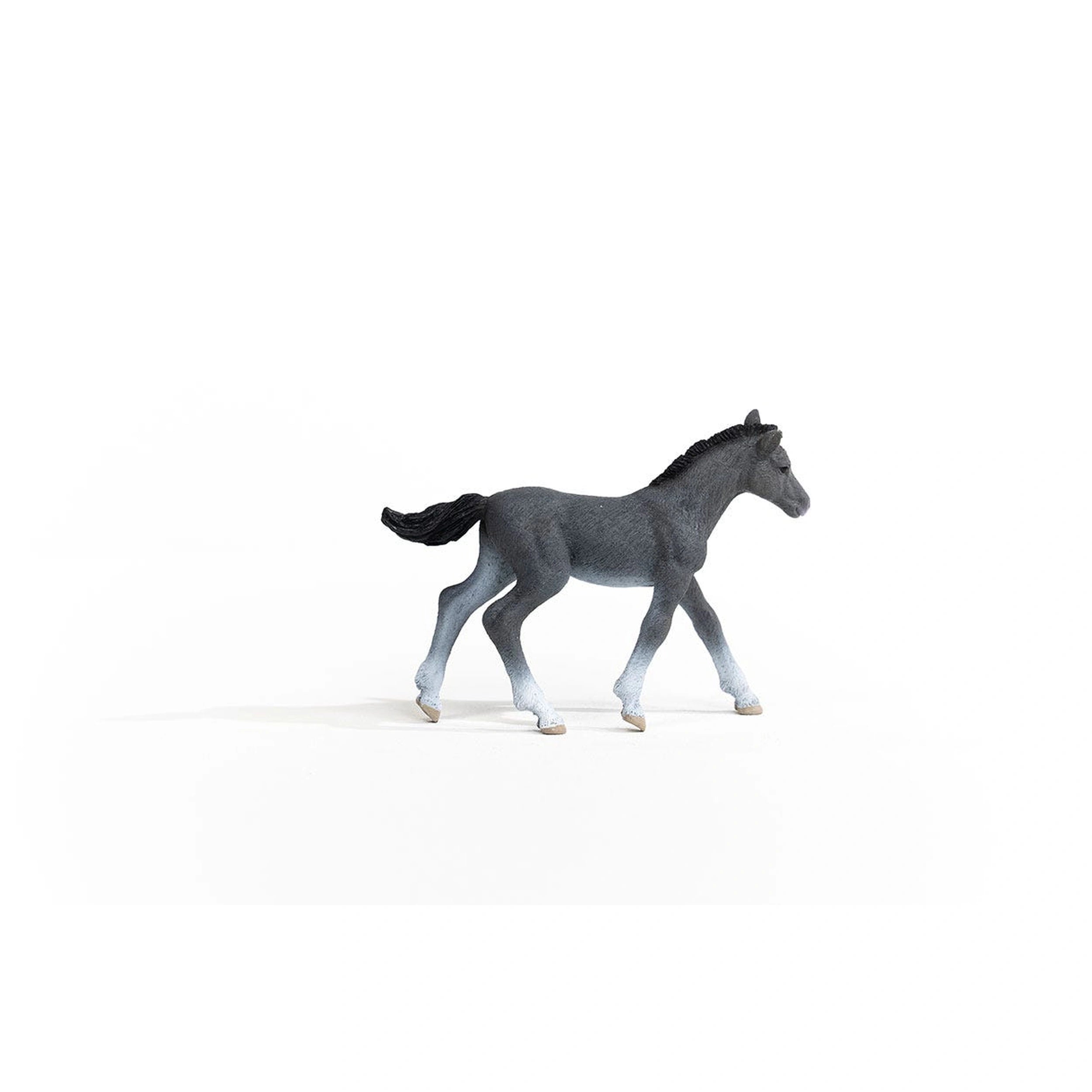 Schleich - Horse Club - Trakehner Colt - Action & Toy Figures - 13944