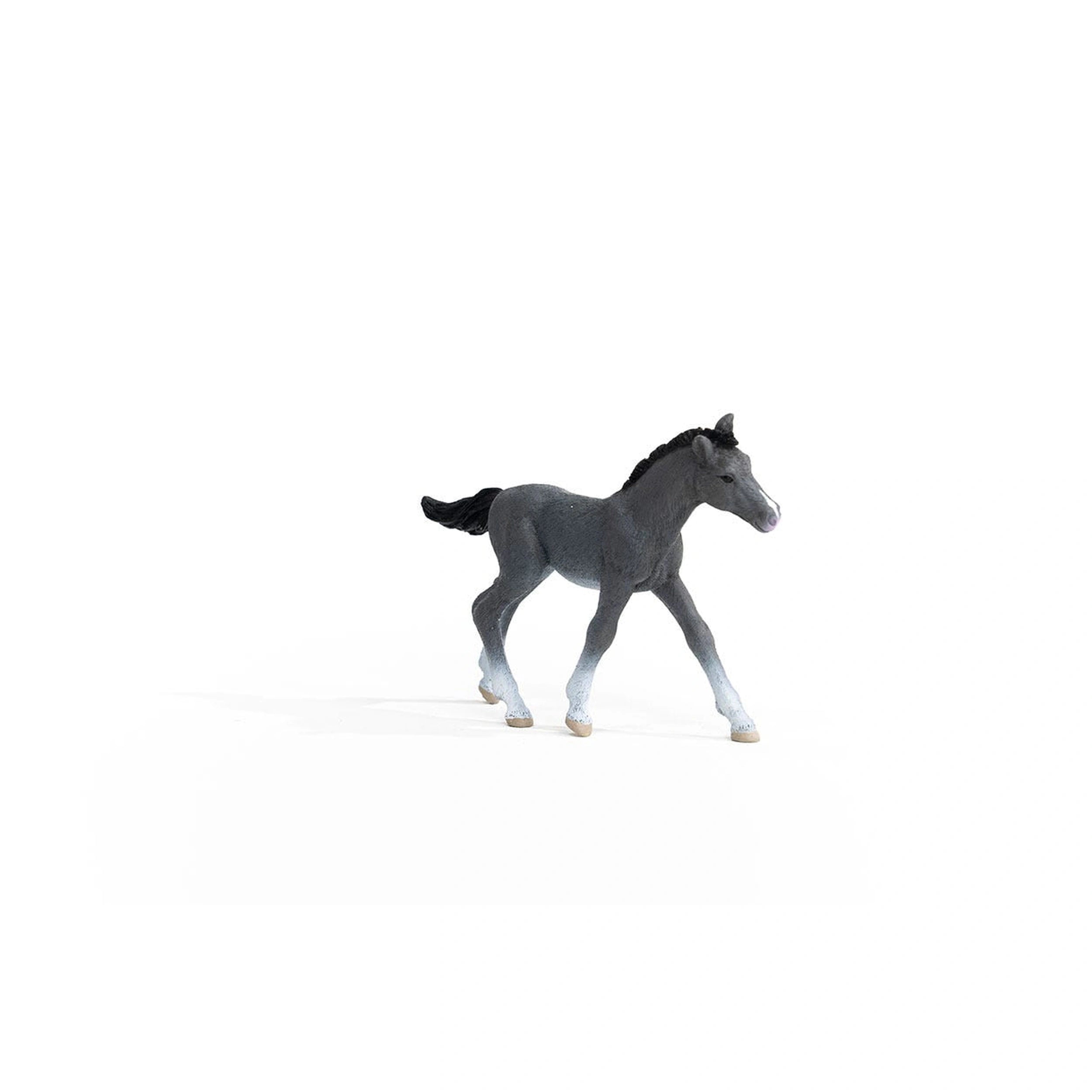 Schleich - Horse Club - Trakehner Colt - Action & Toy Figures - 13944