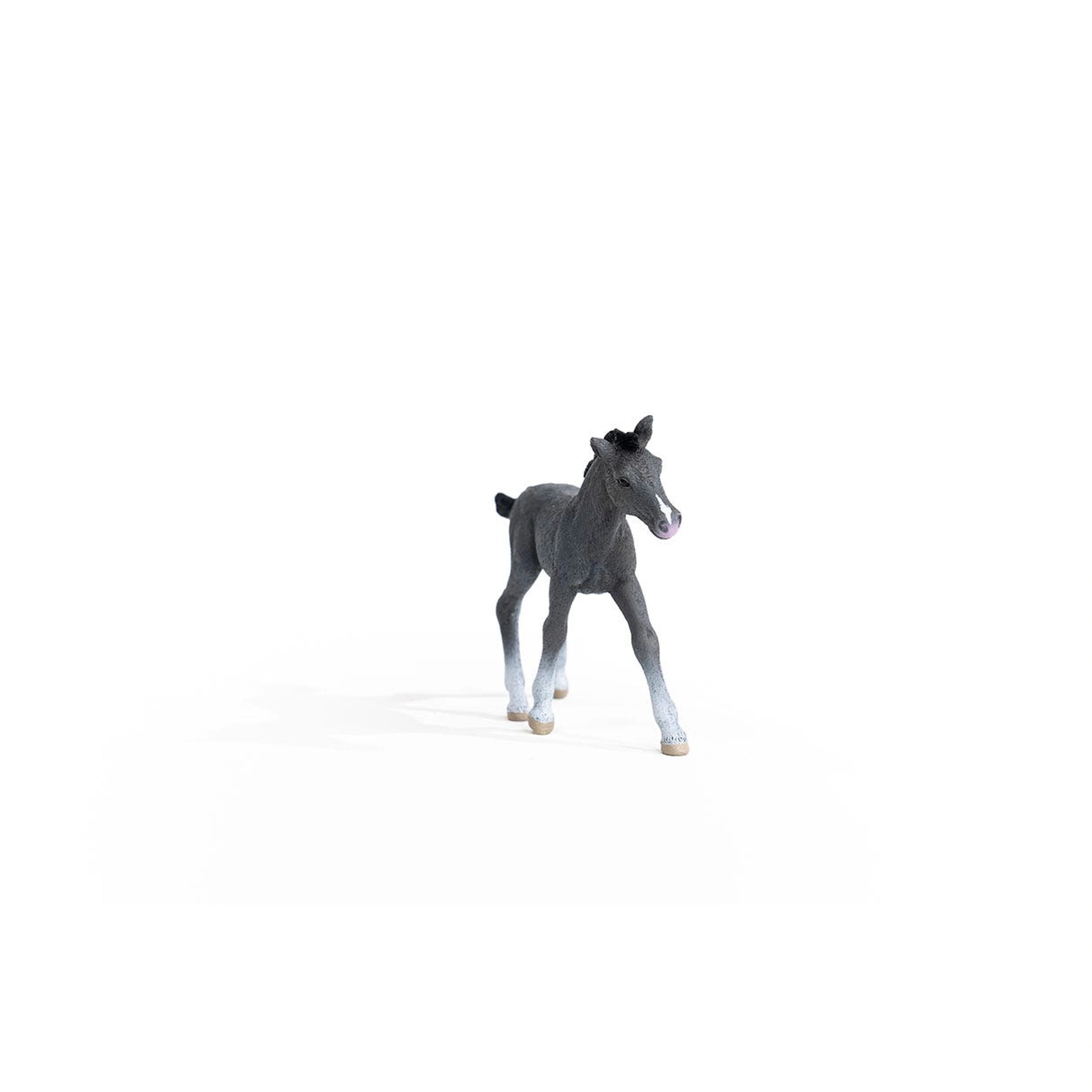 Schleich - Horse Club - Trakehner Colt - Action & Toy Figures - 13944