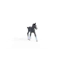 Schleich - Horse Club - Trakehner Colt - Action & Toy Figures - 13944