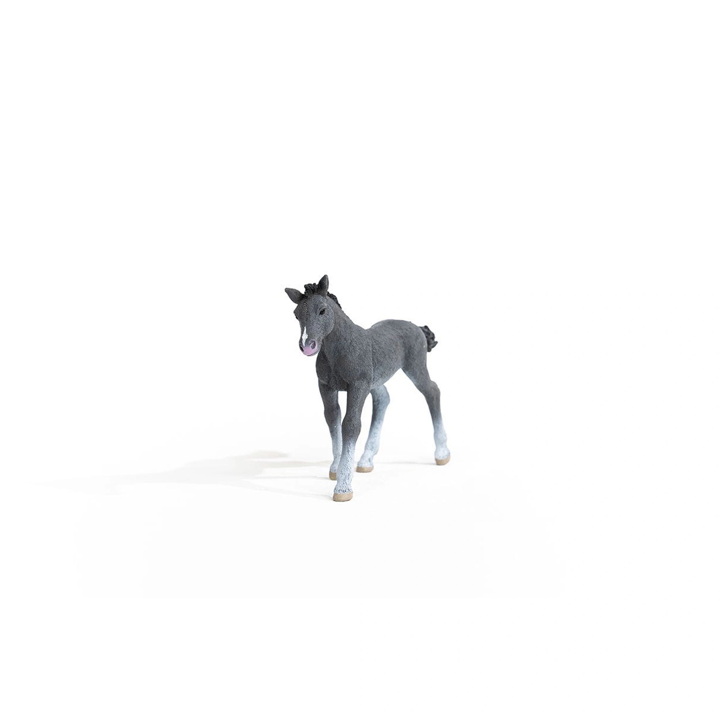 Schleich - Horse Club - Trakehner Colt - Action & Toy Figures - 13944