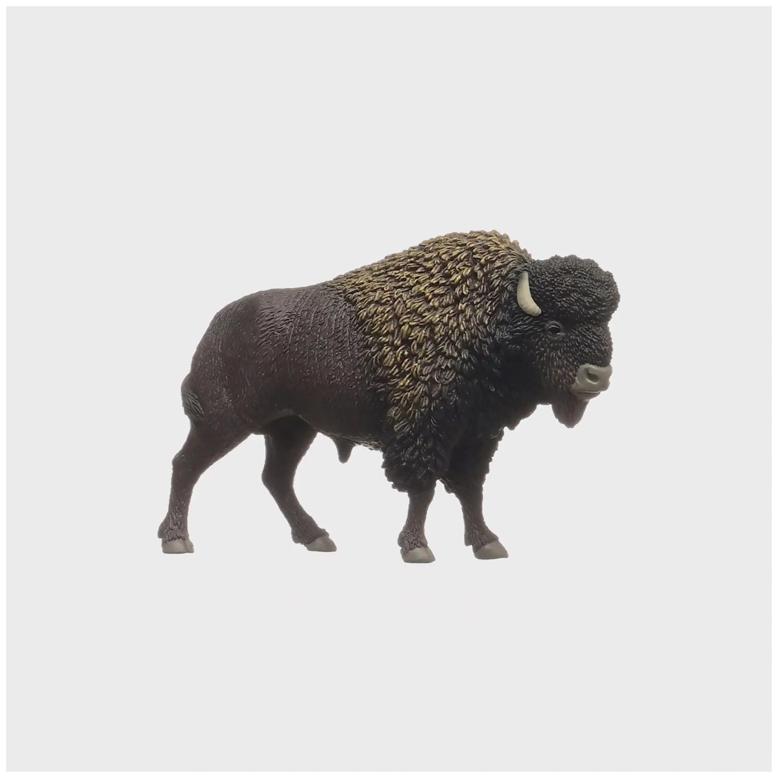 Schleich - Vida Salvaje - Bisonte - Figuras de Acción y Juguetes - 14879