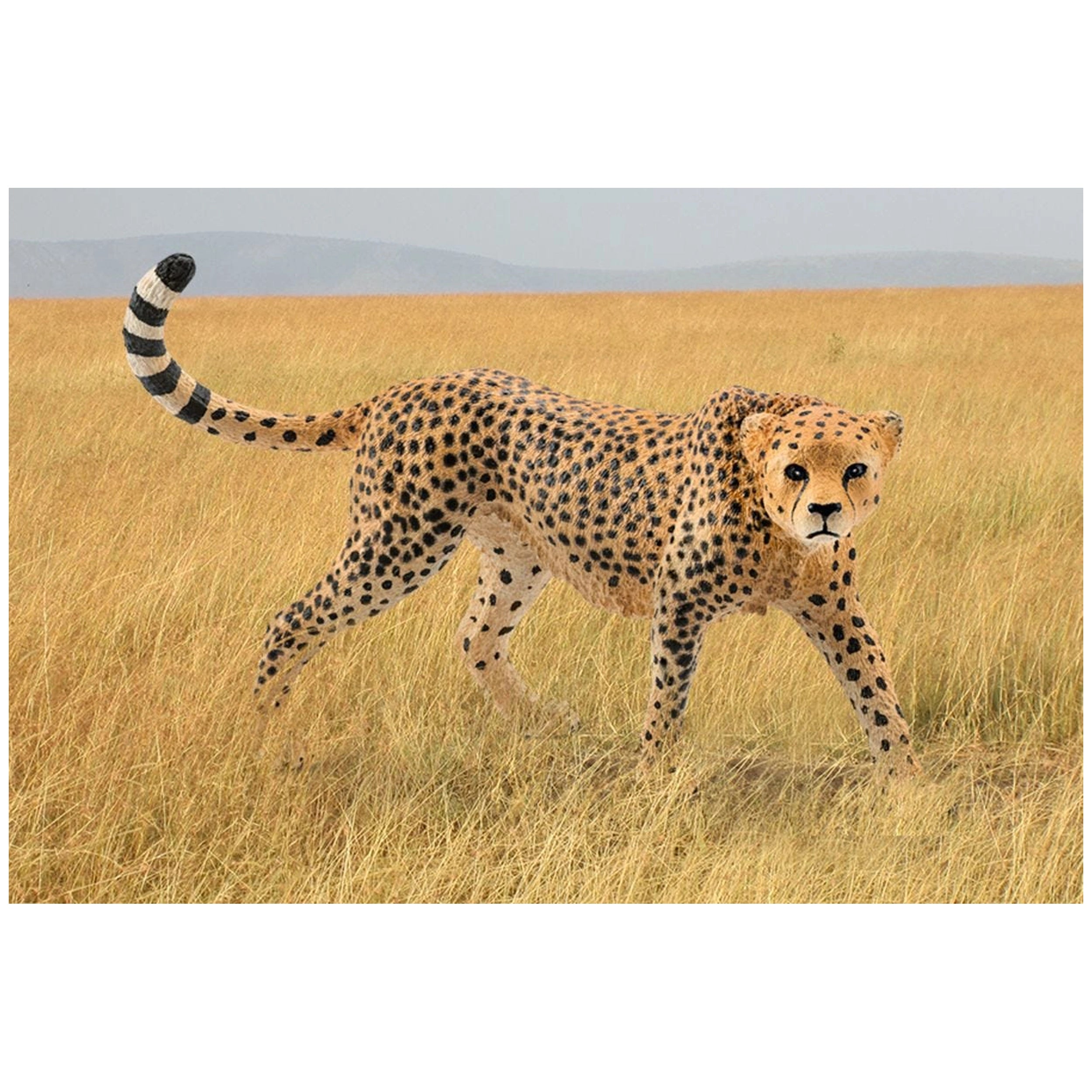 Schleich - Vida Salvaje - Guepardo Femenino - Figuras de Acción y Juguetes - 14746