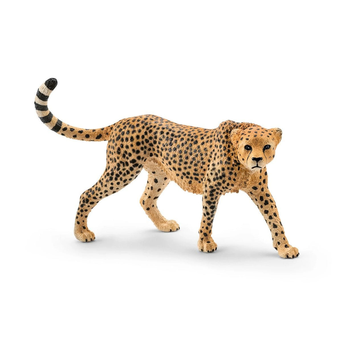 Schleich - Vida Salvaje - Guepardo Femenino - Figuras de Acción y Juguetes - 14746