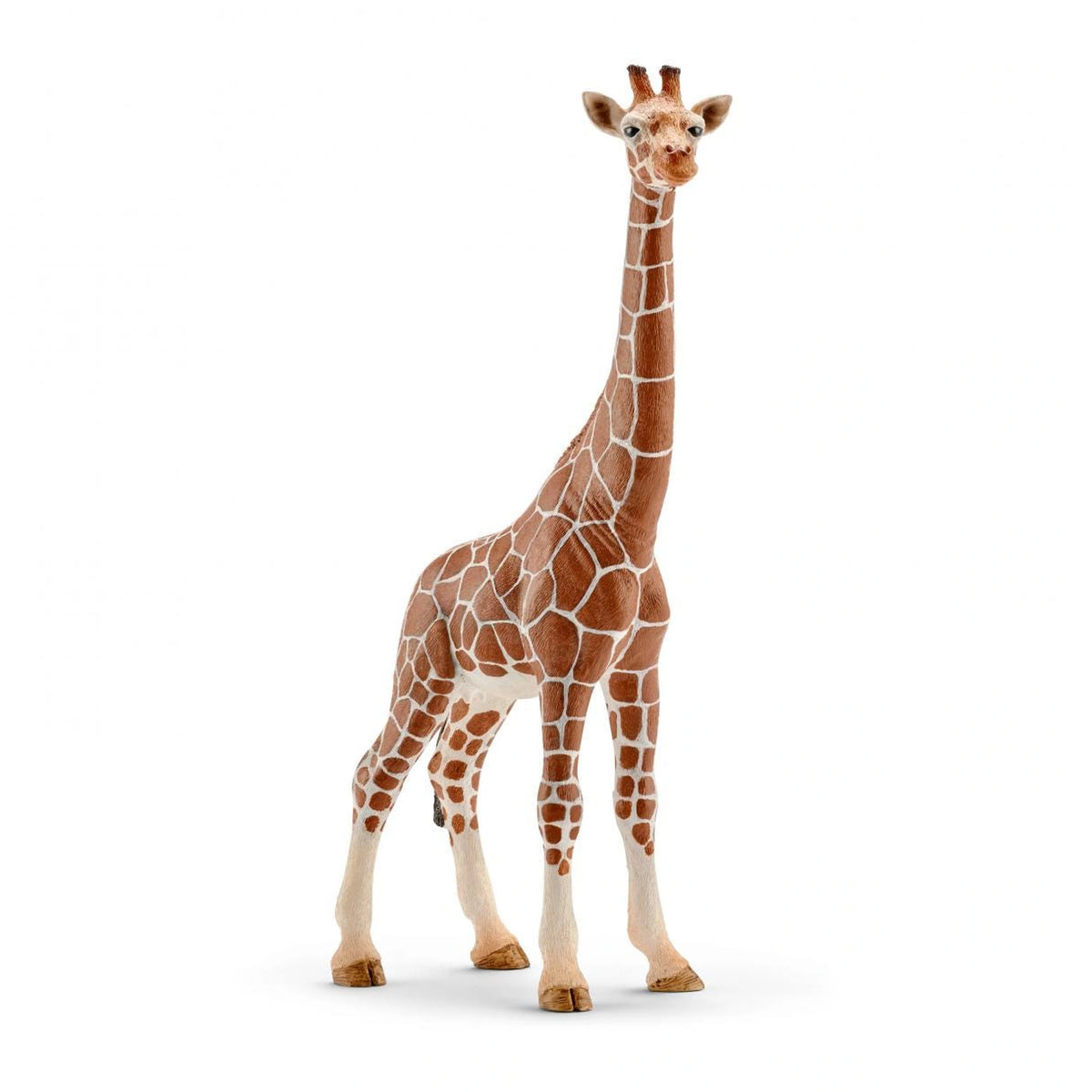 Schleich - Vida Salvaje - Jirafa Femenina - Figuras de Acción y Juguetes - 14750
