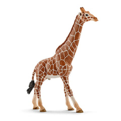 Schleich - Wild Life - Giraffe Male - Action & Toy Figures - 14749