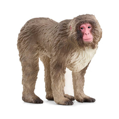Schleich - Vida Salvaje - Macaco Japonés - Figuras de Acción y Juguetes - 14871