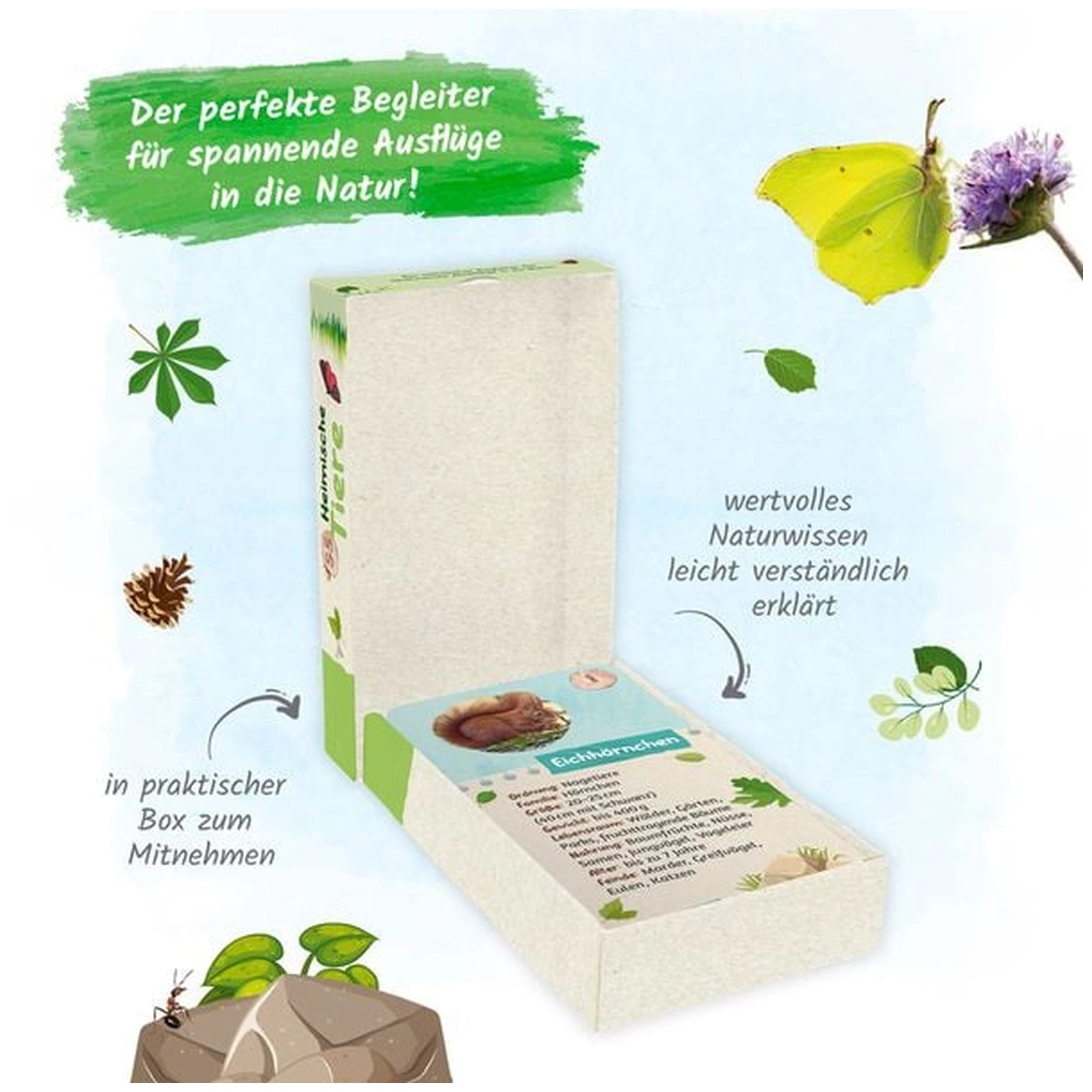 TROTSCH - Tarjetas de Aprendizaje Animales Nativos Libros - Edición Alemana
