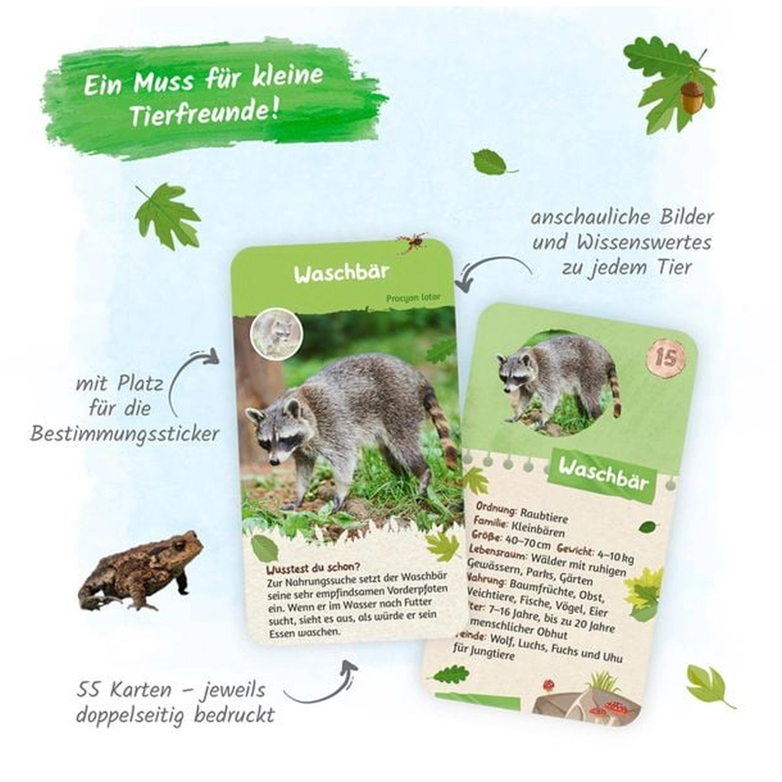 TROTSCH - Tarjetas de Aprendizaje Animales Nativos Libros - Edición Alemana