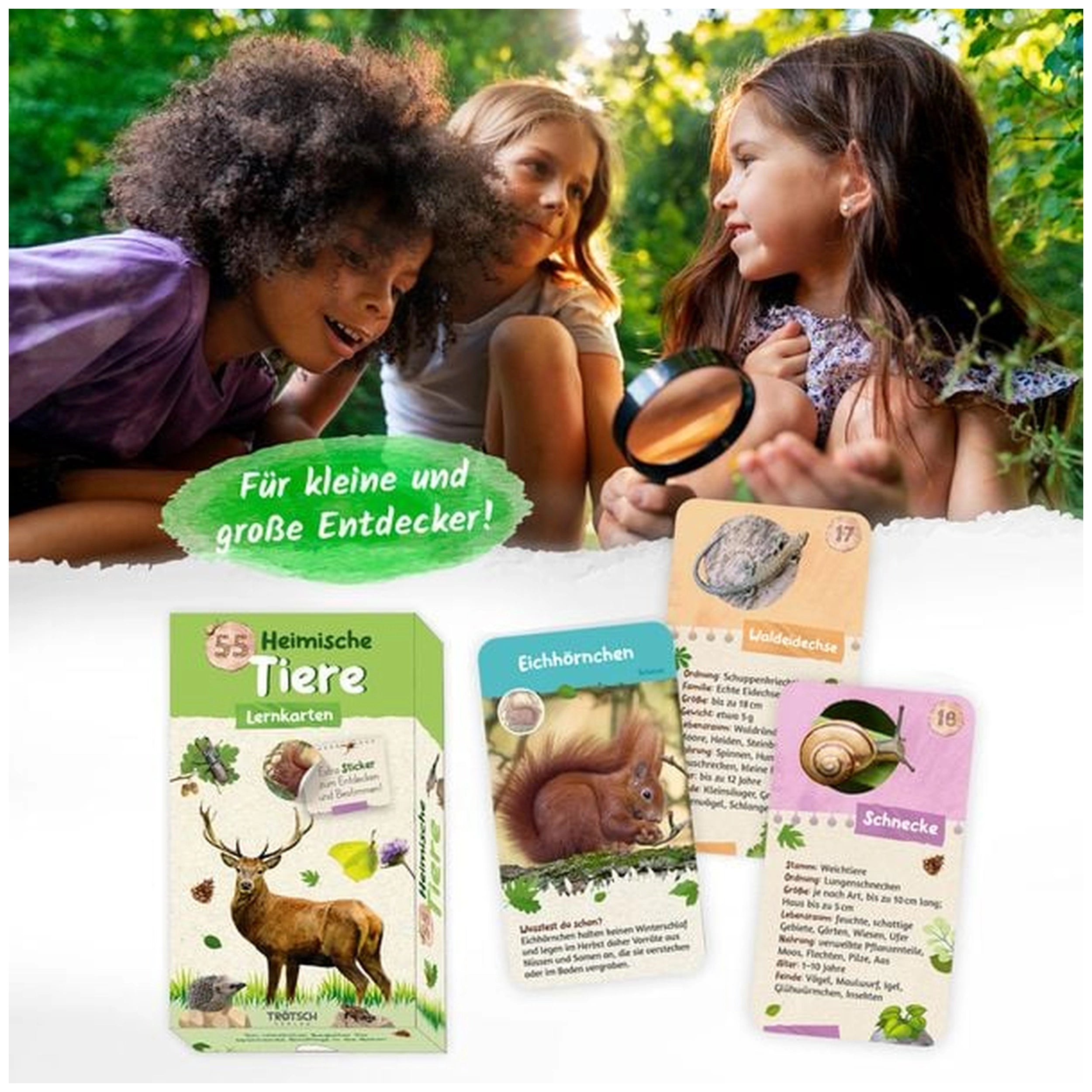 TROTSCH - Tarjetas de Aprendizaje Animales Nativos Libros - Edición Alemana