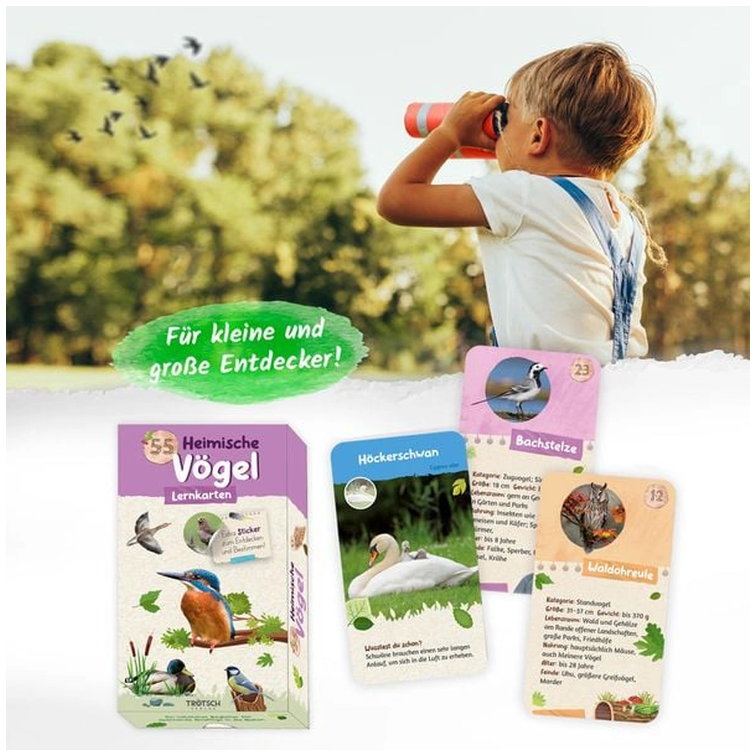 TROTSCH - Tarjetas de Aprendizaje Aves Nativas Libros - Edición Alemana