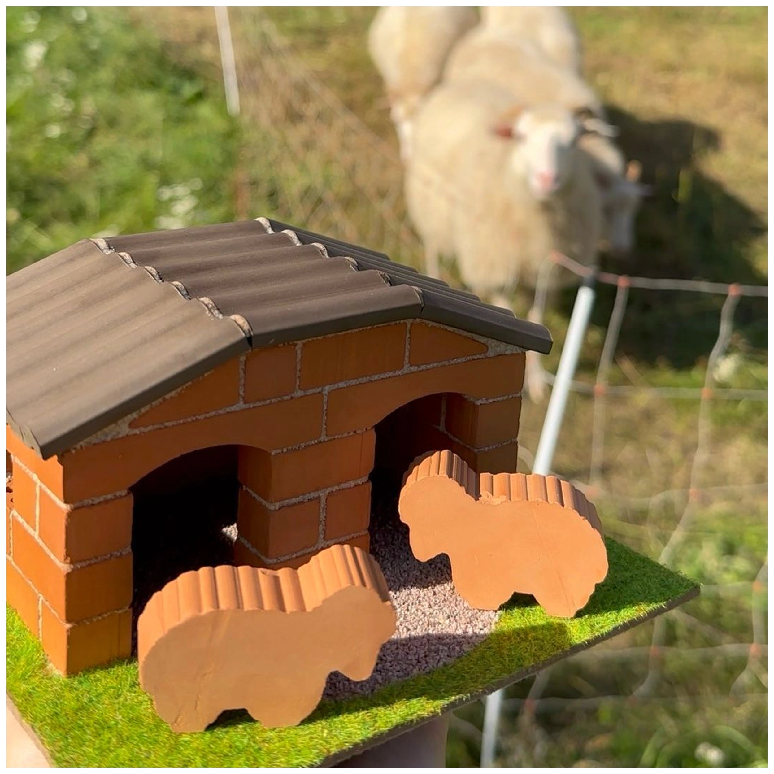 Teifoc - Sheepfold 50 Pcs - Arts & Crafts